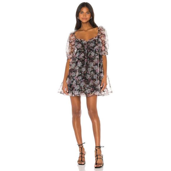 For Love And Lemons Dresses & Skirts - For Love & Lemons Faye Organza Baby Doll Dress